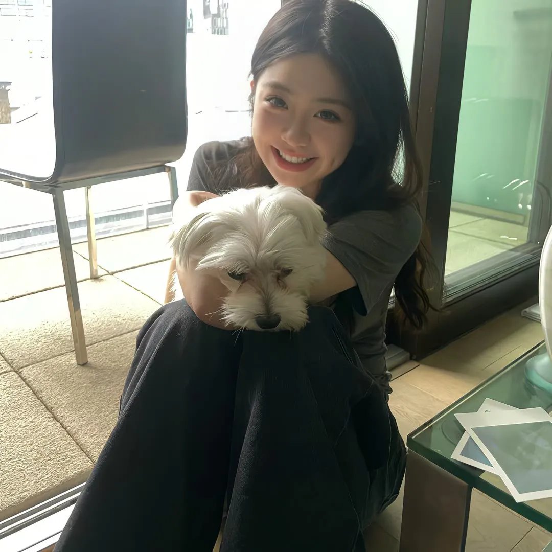 茱莉小姐海报