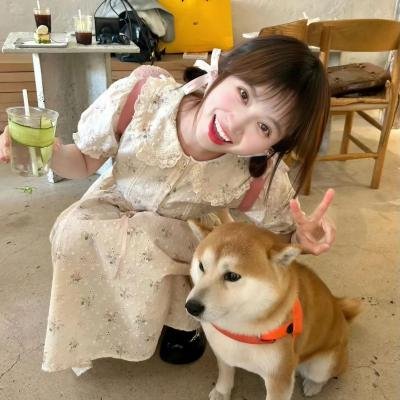 轻蔑海报